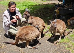Fauna Australia Wildlife Experience